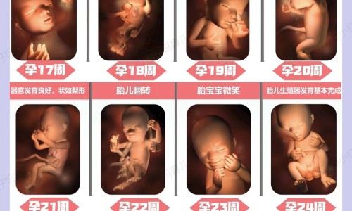 养胃颗粒的不良反应网养胃颗粒的不良反应知识网站,分享养胃颗粒吃几个疗程大全